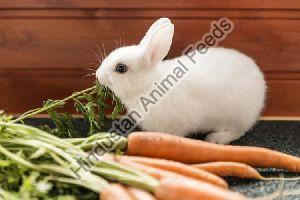 PET Rabbit Food
