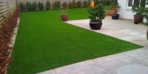 Artificial Grass