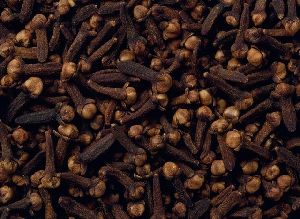 Dried Cloves