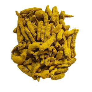 Erode Turmeric Fingers