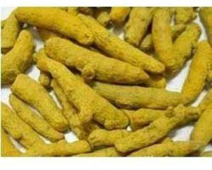 Nizamabad Turmeric