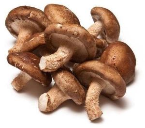 Fresh Shiitake Mushroom