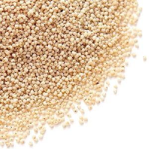 Poppy Seeds