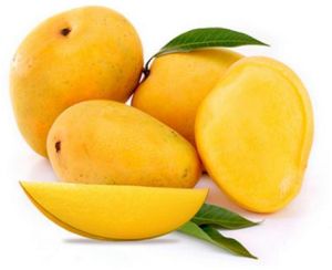 Fresh Alphonso Mango