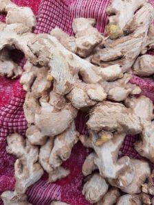 Dry Ginger