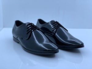 the goose mens shoe