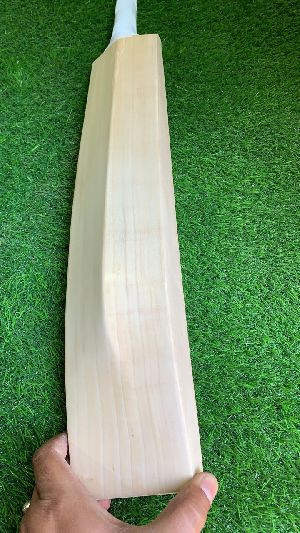English Willow Bat