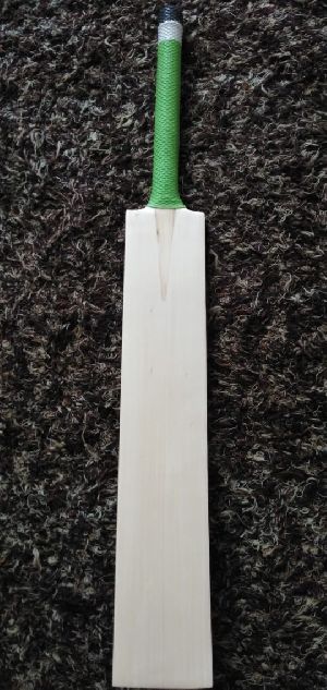 Kashmir Willow Bat