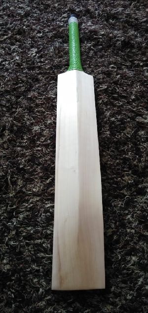 Kashmir Willow Bat