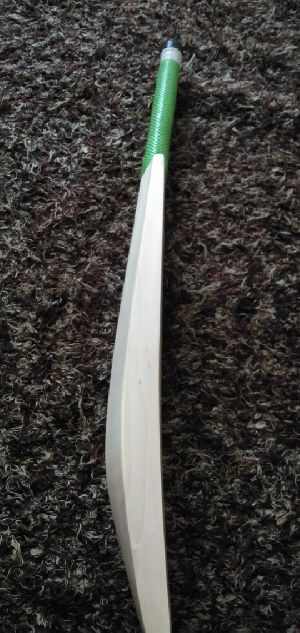 Kashmir Willow Bat