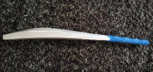 Kashmir Willow Bat