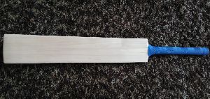 Kashmir Willow Bat