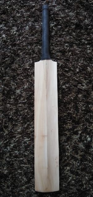 Kashmir Willow Bat