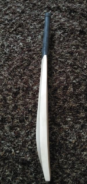 Kashmir Willow Bat