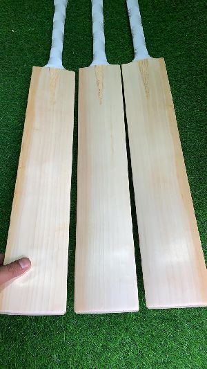 English Willow Bat