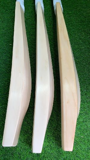 English Willow Bat
