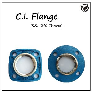 Steel Flanges