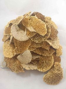 Dried Sponge Mushroom