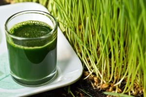 Wheatgrass Juice