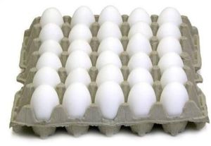 Poultry Eggs