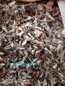 Rama tulsi dry leaves