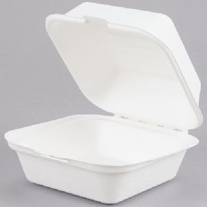 Disposable Hinged Lid Container