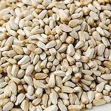 black safflower seed