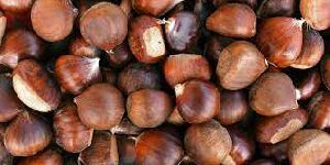 Chestnut