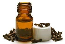 Clove Oil