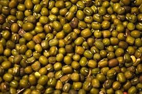 Green Mung Bean