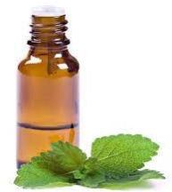 Mentha Oil