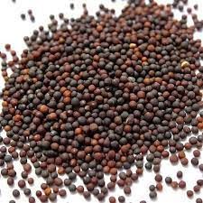 Mustard Seeds