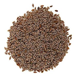 Psyllium Seed