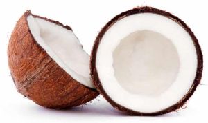 Coconut