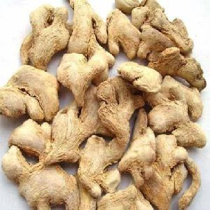 Dry Ginger - Himachal variety