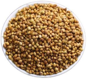 Coriander Seeds