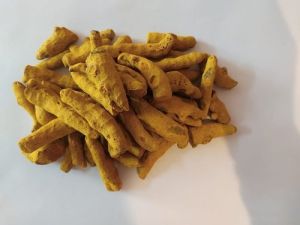 Turmeric Finger