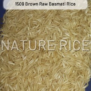 1509 Brown Raw Basmati Rice