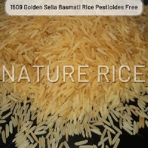 Pesticides Free 1509 Golden Sella Basmati Rice