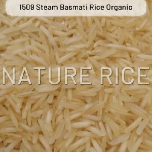 Pesticides Free Organic 1509 Steam White Basmati Rice