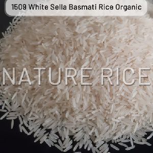 Pesticides Free 1509 White Sella Basmati Rice