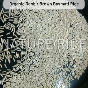 Organic Ranbir White Basmati Rice