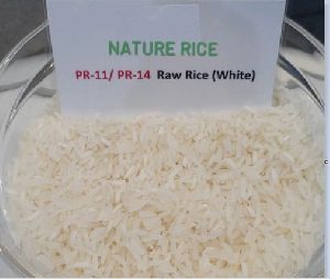PR 11-PR 14 Raw White Rice