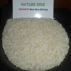 Sharbati Raw White Rice