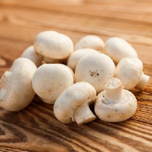 Fresh Button Mushroom