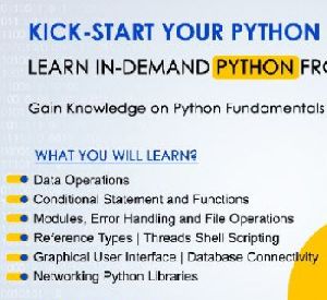 Professional Training on Python Course in Thrissur
