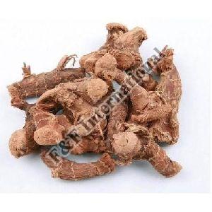 Dried Galangal Root