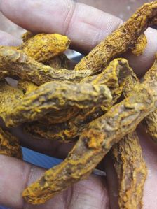 dried turmeric finger