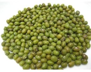 Whole Moong Beans