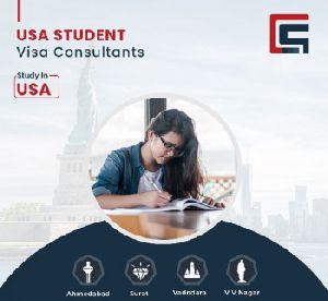 usa student visa Service